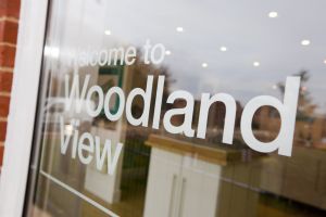 woodlands 45 sm.jpg